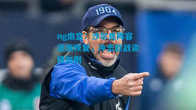 ng南宫：沙尔克阵容逐渐恢复，冲击欧战资格加剧